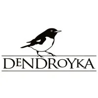 Dendroyka LLC