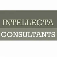 Intellecta Consultants