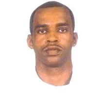 Global IT Consultant