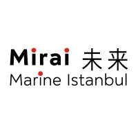 Mirai Marine Istanbul Co. Ltd. (ex-Metro Technical Ship Supply Co. Ltd.) email format