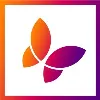 REACH Beyond Domestic Violence REACH Beyond Domestic Violence