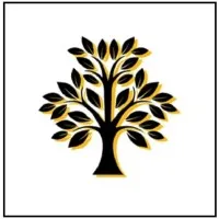 Aurora Counseling and Consulting Aurora Counseling and Consulting