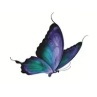 Darsh Pharmachem Private Limited