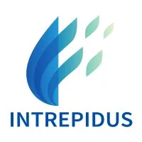 Intrepidus Talent Solutions, LLC