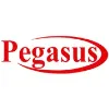 PEGASUS International Computer Co.- KUWAIT PEGASUS International Computer Co.- KUWAIT