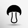 Mycosoft Mycosoft