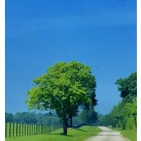 Fiducia Executive Search