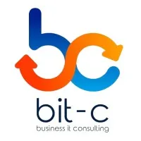 BIT - C Business IT Consulting