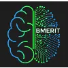 Biomedical Engineering Research and Innovation Team (BMERIT) UCalgary Biomedical Engineering Research and Innovation Team (BMERIT) UCalgary