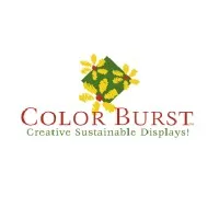 Color Burst