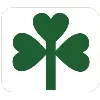 Yew Technologies