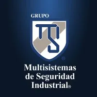 MULTISISTEMAS DE SEGURIDAD DEL VALLE DE MEXICO S.A DE C.V.
