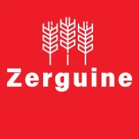 Zerguine