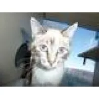 Panhandle Humane Society