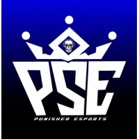 Punisher eSports Official