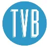 The Visual Brand (TVB) The Visual Brand (TVB)