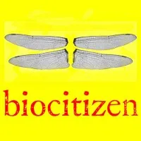 Biocitizen Biocitizen