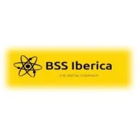 BeeSoSmart Iberica Consulting