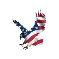 Freedom Debt Resolutions