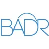 BADR (Acquired by Incorta) BADR (Acquired by Incorta)
