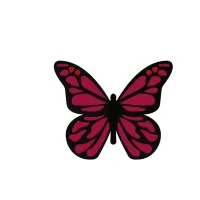 Synergy Transformations Synergy Transformations