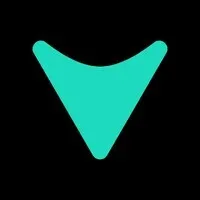 Vialto Partners India