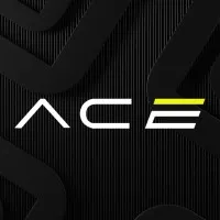 ACE - All Canadian Enterprises