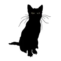 Stray Bombay Company