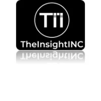 TheInsightInc LLC