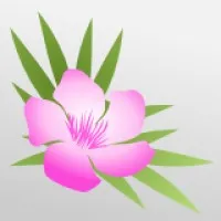 Oleander Medical Technologies Oleander Medical Technologies