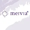 Meivia Global Services LLP Meivia Global Services LLP