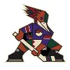 Tucson Roadrunners Tucson Roadrunners