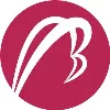 Betatron Venture Group