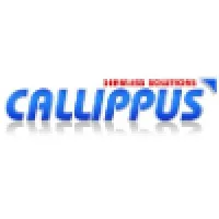 Callippus Solutions Pvt. Ltd