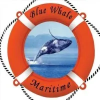 Blue Whale Maritime Pvt. Ltd. Blue Whale Maritime Pvt. Ltd.