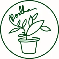 Podha