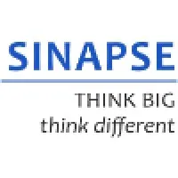Singapore Institute for Neurotechnology (SINAPSE)