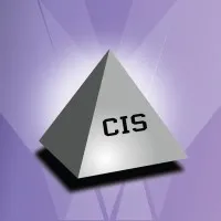 Corporate Information Systems