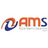 Agile Matrix Solutions Agile Matrix Solutions