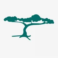 National Alopecia Areata Foundation