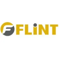 Flint CIS