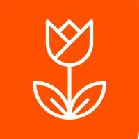 DutchTechX