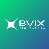 BVIX Seguradora BVIX Seguradora