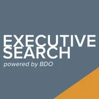 BDO Executive Search