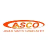 Absolute Solutions Company