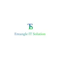 Entangle IT Solutions