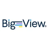 Bigview Analytics