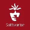 Sattvarise Technologies Sattvarise Technologies