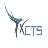 FALCONX CONSULTING AND TECHNOLOGY SERVICES