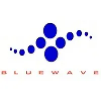 Bluewave Infotech Bluewave Infotech